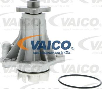 VAICO V25-50027 - Ūdenssūknis autospares.lv