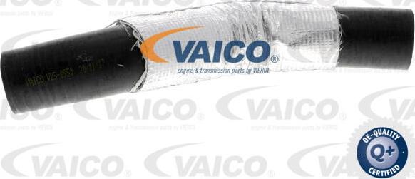 VAICO V25-0950 - Pūtes sistēmas gaisa caurule www.autospares.lv