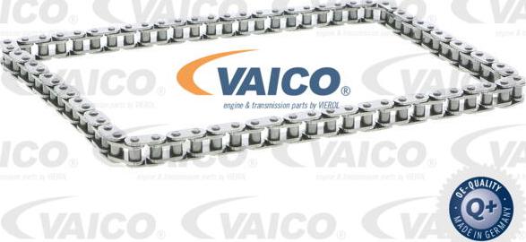 VAICO V25-0818 - Ķēde, Eļļas sūkņa piedziņa autospares.lv