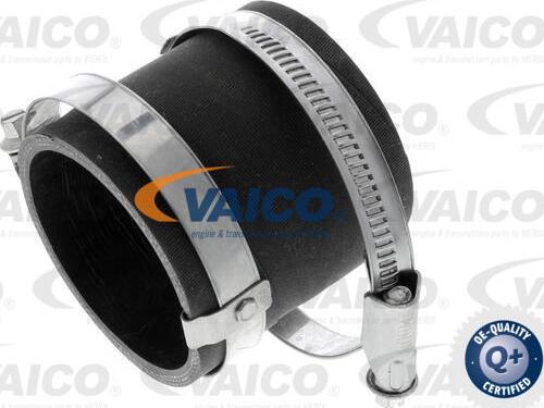 VAICO V25-1048 - Pūtes sistēmas gaisa caurule www.autospares.lv