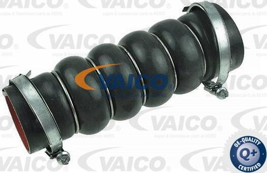 VAICO V25-1042 - Трубка, нагнетание воздуха www.autospares.lv