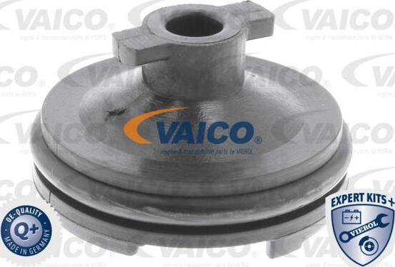 VAICO V25-1116 - Korķis, Eļļas vācele www.autospares.lv