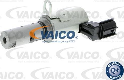 VAICO V25-1188 - Vadības vārsts, Sadales vārpstas iestatīšana www.autospares.lv