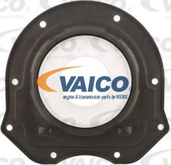 VAICO V25-1350 - Vārpstas blīvgredzens, Diferenciālis www.autospares.lv