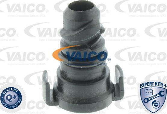 VAICO V25-1293 - Korķis, Eļļas vācele www.autospares.lv