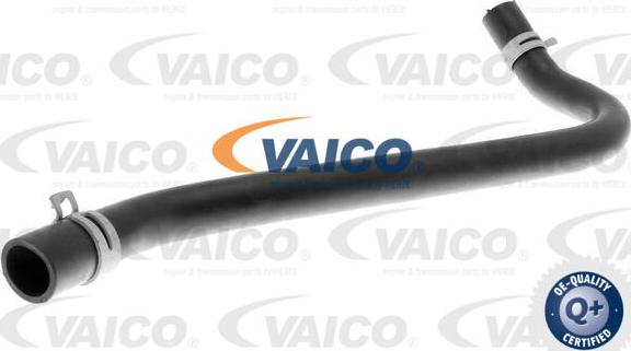 VAICO V25-1228 - Šļūtene, Kartera ventilācija www.autospares.lv