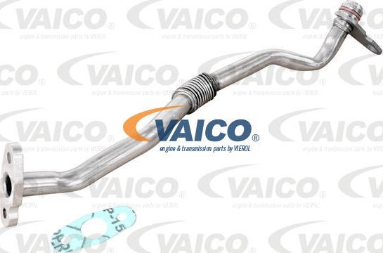 VAICO V25-2593 - Eļļas cauruļvads, Kompresors autospares.lv