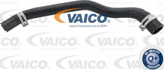 VAICO V25-2564 - Radiatora cauruļvads www.autospares.lv