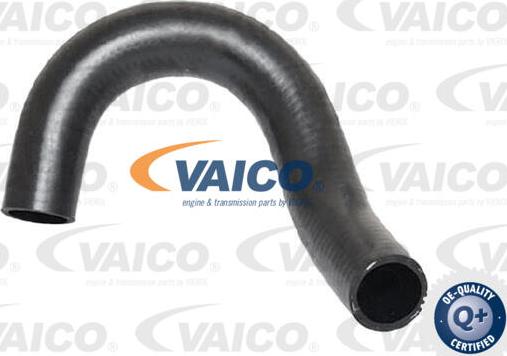 VAICO V25-2581 - Radiatora cauruļvads www.autospares.lv