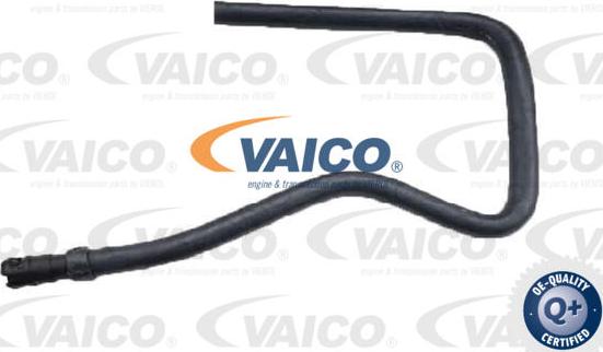 VAICO V25-2574 - Radiatora cauruļvads www.autospares.lv