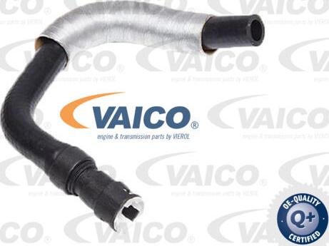 VAICO V25-2575 - Radiatora cauruļvads www.autospares.lv