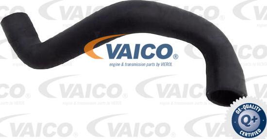 VAICO V25-2570 - Radiatora cauruļvads www.autospares.lv