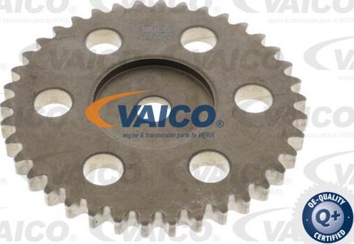 VAICO V25-2083 - Zobrats, Sadales vārpsta www.autospares.lv