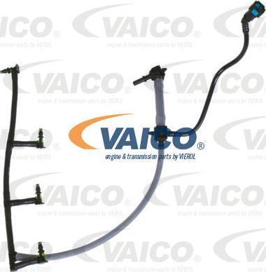 VAICO V25-2139 - Šļūtene, Degvielas noplūde www.autospares.lv