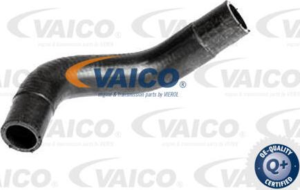 VAICO V25-2321 - Radiatora cauruļvads www.autospares.lv