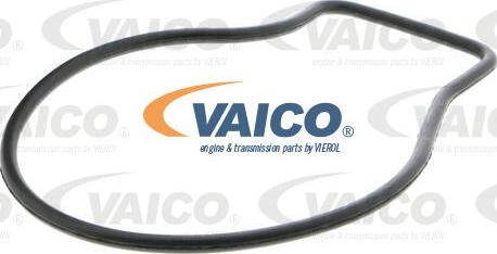 VAICO V26-50015 - Ūdenssūknis www.autospares.lv