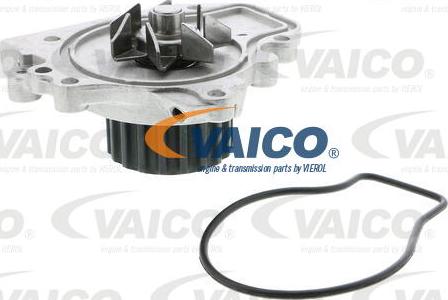 VAICO V26-50015 - Ūdenssūknis www.autospares.lv