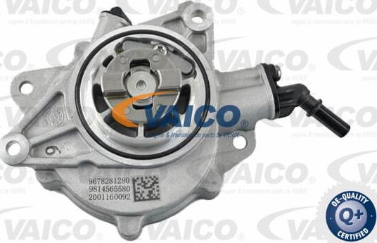 VAICO V20-4077 - Vakuumsūknis, Bremžu sistēma www.autospares.lv