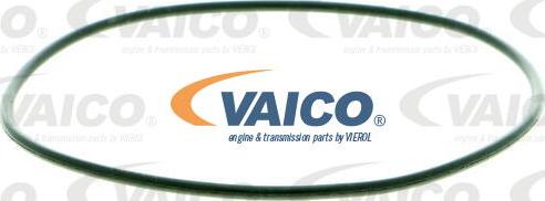 VAICO V20-50045 - Ūdenssūknis www.autospares.lv