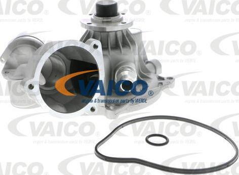 VAICO V20-50042 - Ūdenssūknis www.autospares.lv