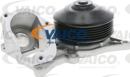 VAICO V20-50056 - Ūdenssūknis www.autospares.lv