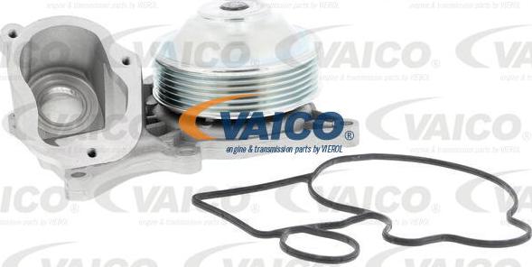 VAICO V20-50058 - Ūdenssūknis www.autospares.lv