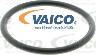 VAICO V20-50013 - Ūdenssūknis www.autospares.lv