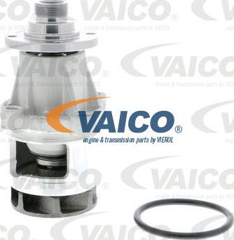 VAICO V20-50013 - Ūdenssūknis www.autospares.lv