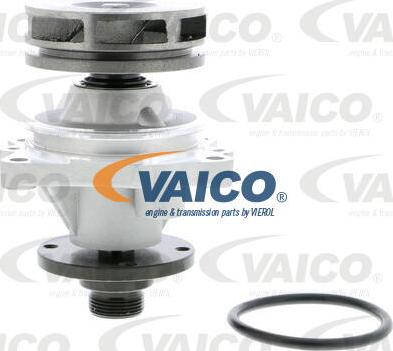 VAICO V20-50012 - Ūdenssūknis autospares.lv