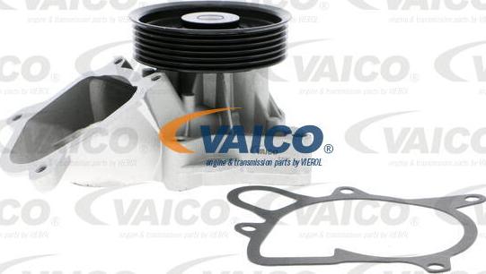 VAICO V20-50035 - Ūdenssūknis www.autospares.lv