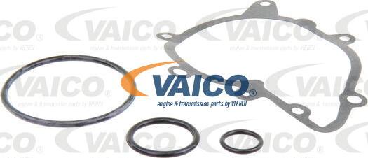 VAICO V20-50030 - Ūdenssūknis www.autospares.lv