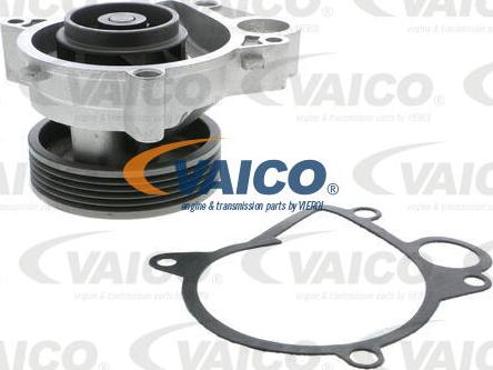 VAICO V20-50033 - Ūdenssūknis www.autospares.lv