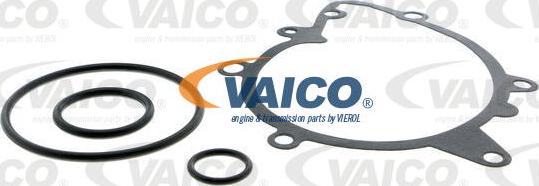 VAICO V20-50025 - Ūdenssūknis www.autospares.lv