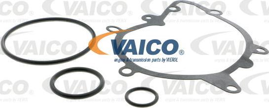 VAICO V20-50020 - Ūdenssūknis www.autospares.lv