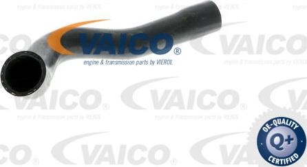 VAICO V20-0148 - Radiatora cauruļvads www.autospares.lv