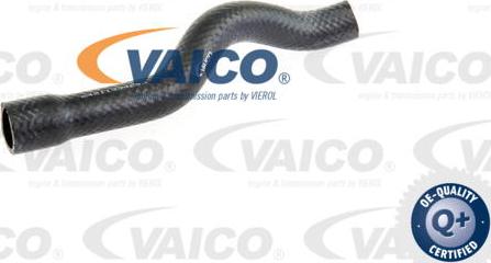 VAICO V20-1611 - Radiatora cauruļvads www.autospares.lv