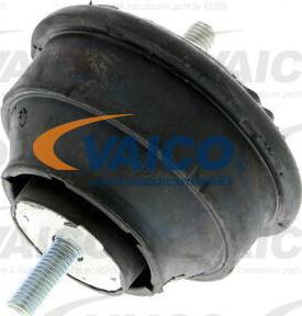 VAICO V20-1031 - Piekare, Dzinējs www.autospares.lv