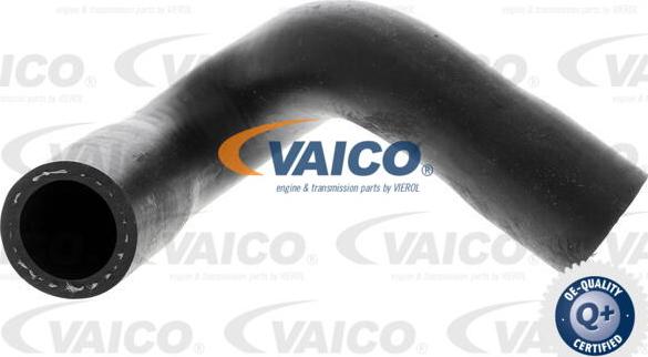 VAICO V20-1347 - Radiatora cauruļvads www.autospares.lv