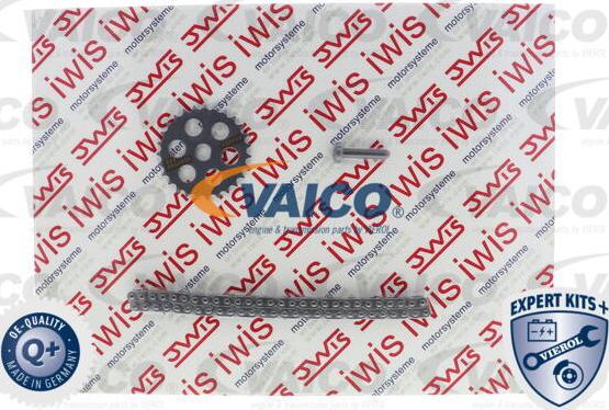 VAICO V20-3921 - Ķēdes komplekts, Eļļas sūkņa piedziņa www.autospares.lv