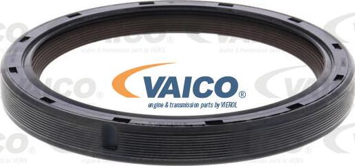 VAICO V20-3079 - Vārpstas blīvgredzens, Diferenciālis www.autospares.lv