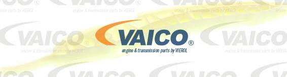 VAICO V20-3144 - Guides, timing chain www.autospares.lv