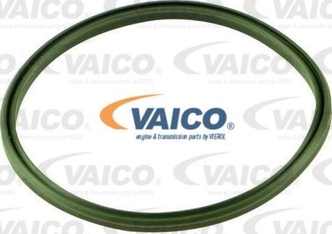 VAICO V20-3115 - Blīvgredzens, Gaisa pūtes caurule www.autospares.lv