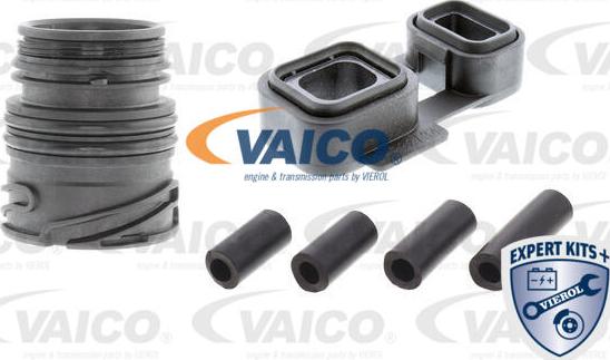 VAICO V20-3770-XXL - Blīvju komplekts, Automātiskā pārnesumkārba www.autospares.lv