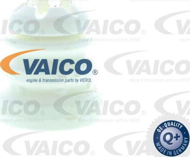 VAICO V20-2491 - Gājiena ierobežotājs, Atsperojums www.autospares.lv