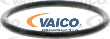 VAICO V22-50012 - Ūdenssūknis www.autospares.lv