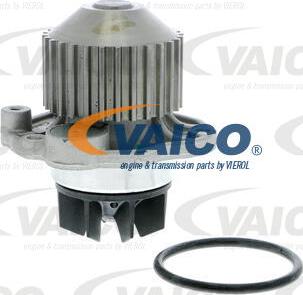 VAICO V22-50012 - Ūdenssūknis www.autospares.lv