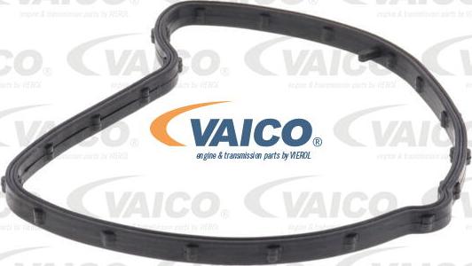 VAICO V22-50029 - Ūdenssūknis www.autospares.lv