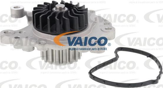 VAICO V22-50029 - Ūdenssūknis www.autospares.lv