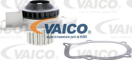 VAICO V22-50024 - Ūdenssūknis www.autospares.lv