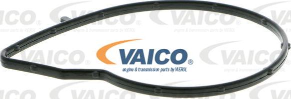 VAICO V22-50021 - Ūdenssūknis www.autospares.lv